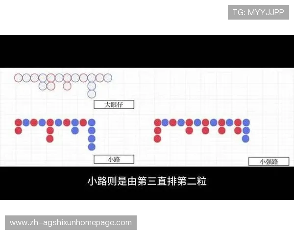 全面解析百家乐小路图表的不同类型及其在实际游戏中的应用技巧