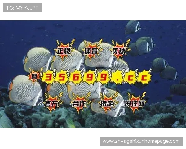 优质bg视讯厅首页导航，快速找到热门游戏专区与优惠活动，提升您的娱乐体验