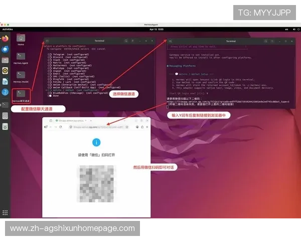 开云真人中国官方网站注册流程与新手指南,帮助新玩家快速上手享受高品质真人娱乐体验